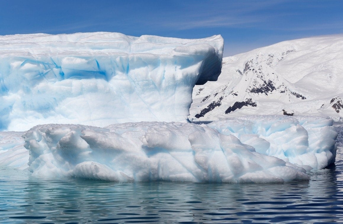 4 antartic
