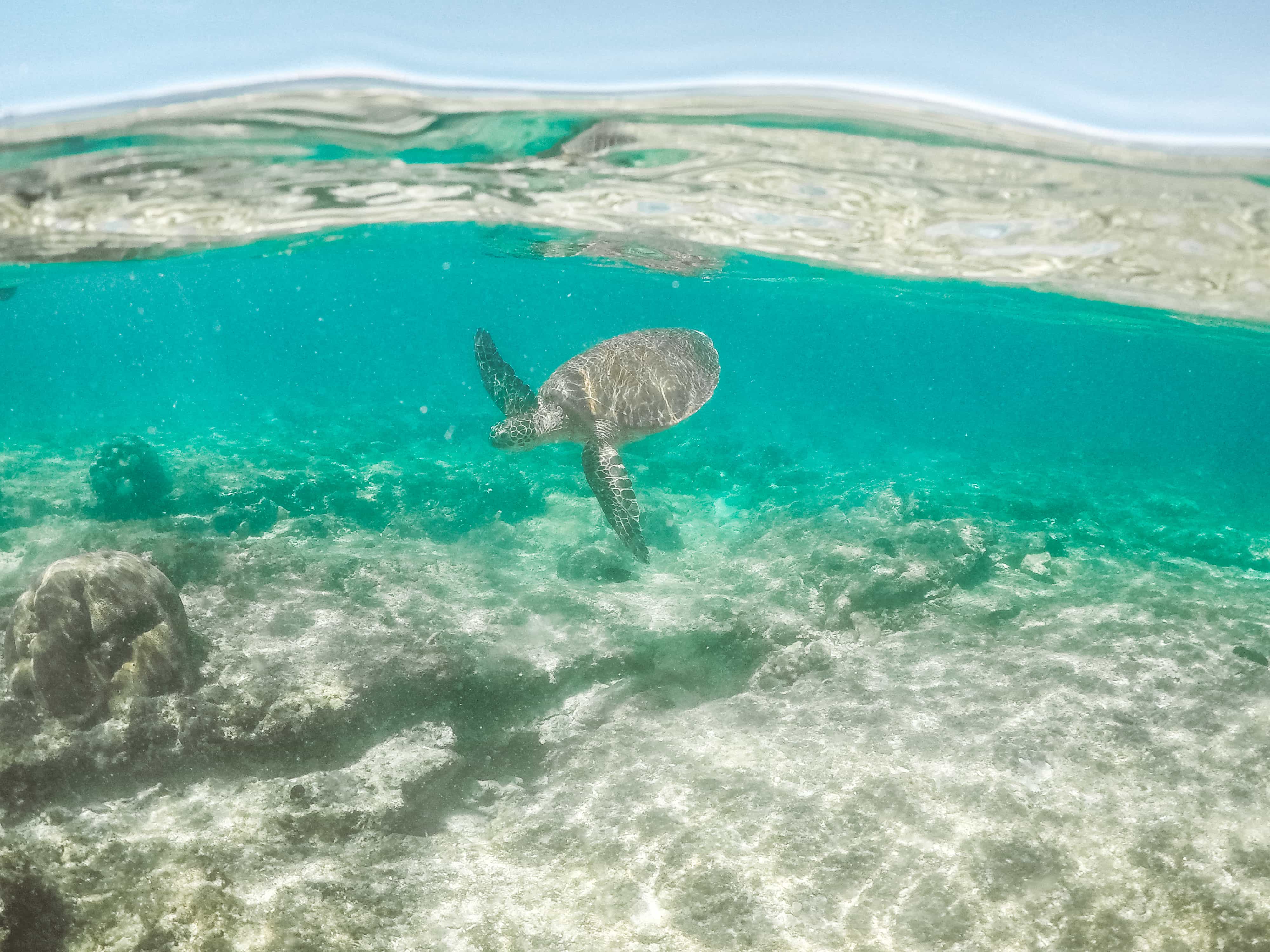 A Perfect 2 Days Siquijor Itinerary 20 things to do in Dumaguete, dumaguete tourist spots, apo island dumaguete, dumaguete to Cebu, Cebu to Dumaguete,dumaguete city tour itinerary dumaguete itinerary, dumaguete beaches, how to get to dumaguete