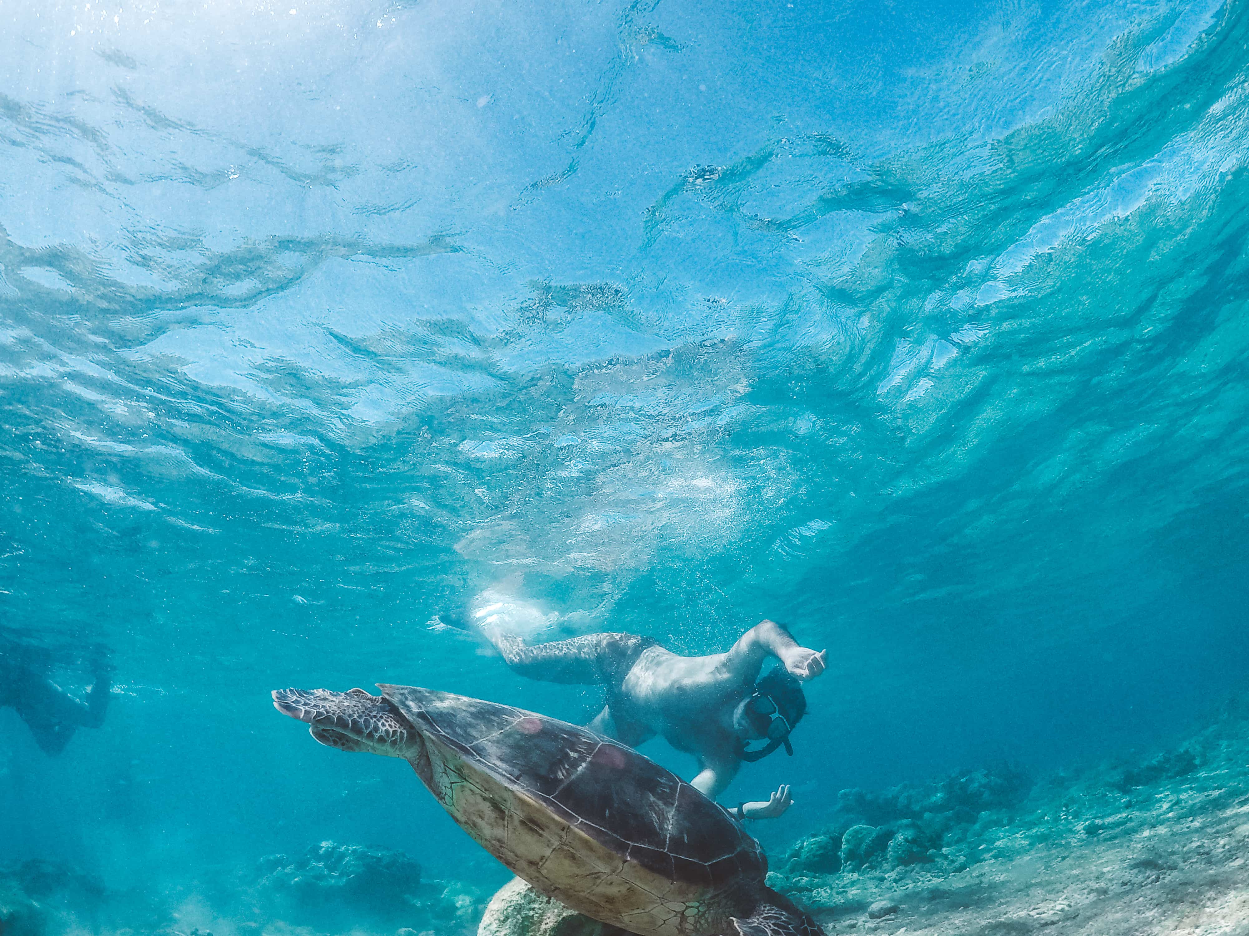 A Perfect 2 Days Siquijor Itinerary 19 things to do in Dumaguete, dumaguete tourist spots, apo island dumaguete, dumaguete to Cebu, Cebu to Dumaguete,dumaguete city tour itinerary dumaguete itinerary, dumaguete beaches, how to get to dumaguete