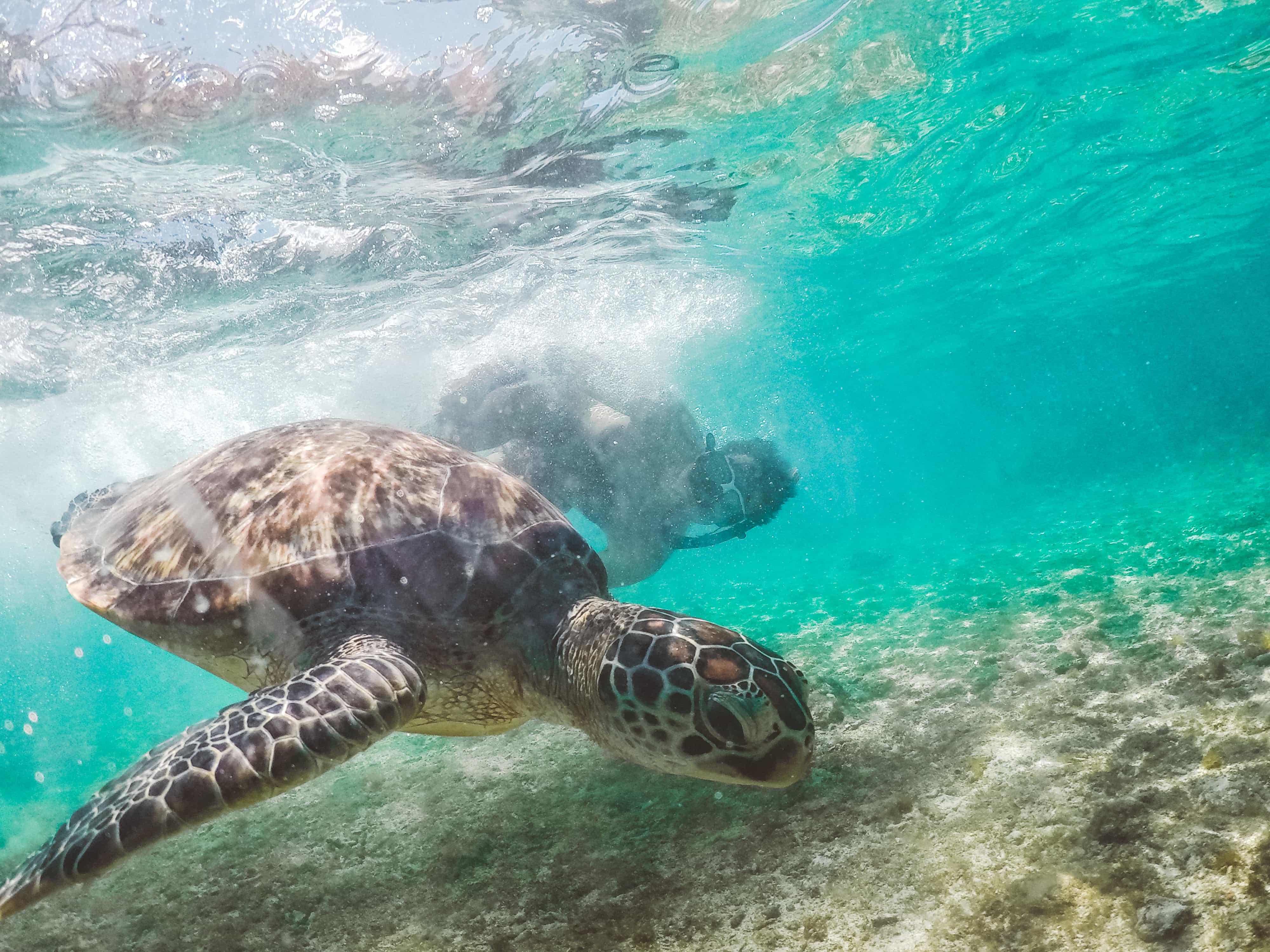 A Perfect 2 Days Siquijor Itinerary 17 things to do in Dumaguete, dumaguete tourist spots, apo island dumaguete, dumaguete to Cebu, Cebu to Dumaguete,dumaguete city tour itinerary dumaguete itinerary, dumaguete beaches, how to get to dumaguete