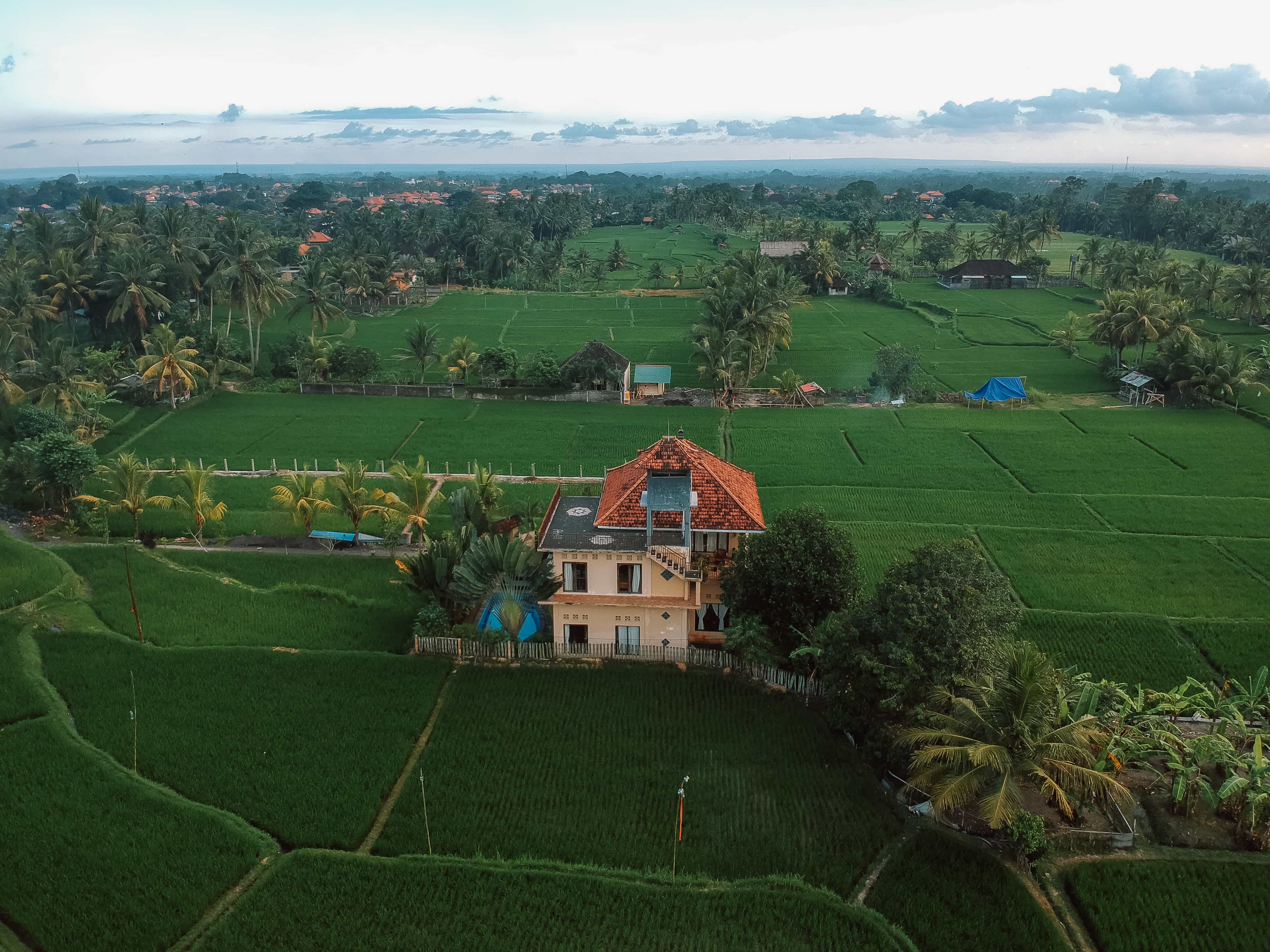 A Perfect 3 Days Ubud Itinerary And Day Trips 5 things to do in Ubud, budget to travel in Ubud, visit ricefields in Ubud, where to stay in Ubud, where to sleep in Ubud, how to get to Ubud