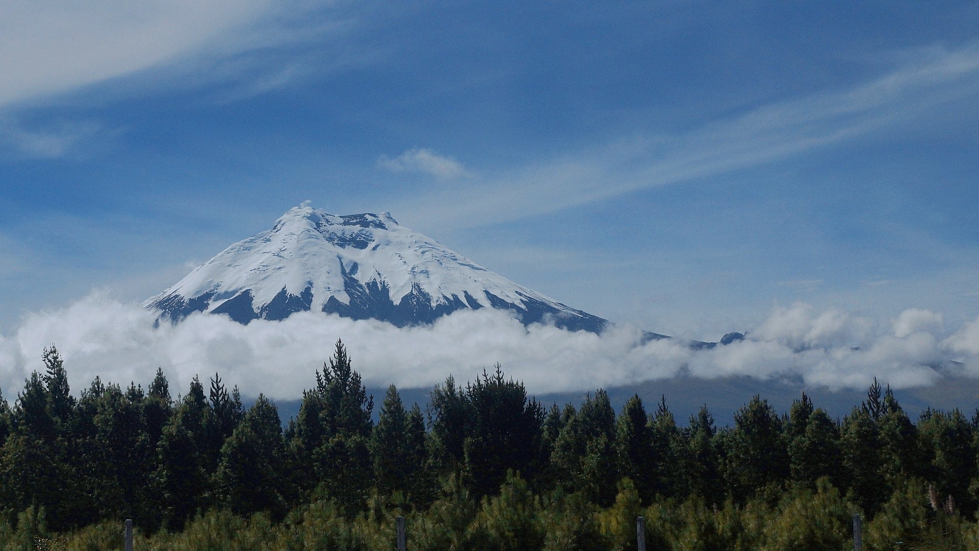 Things To do in Ecuador, places to visit in Ecuador, Ecuador travel guide, Ecuador travel itinerary, guinea pig food, where to stay in Ecuador