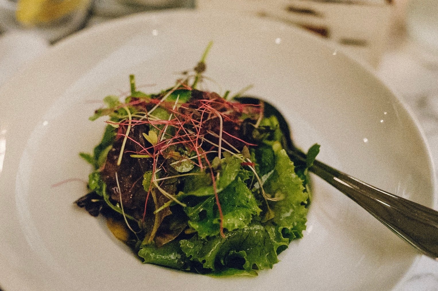 things to do in Thessaloniki, food to try in Thessaloniki, best time to visit thessaloniki, how to get to thessaloniki from the airport, how to get to thessaloniki, Antigon Urban Chic Hotel