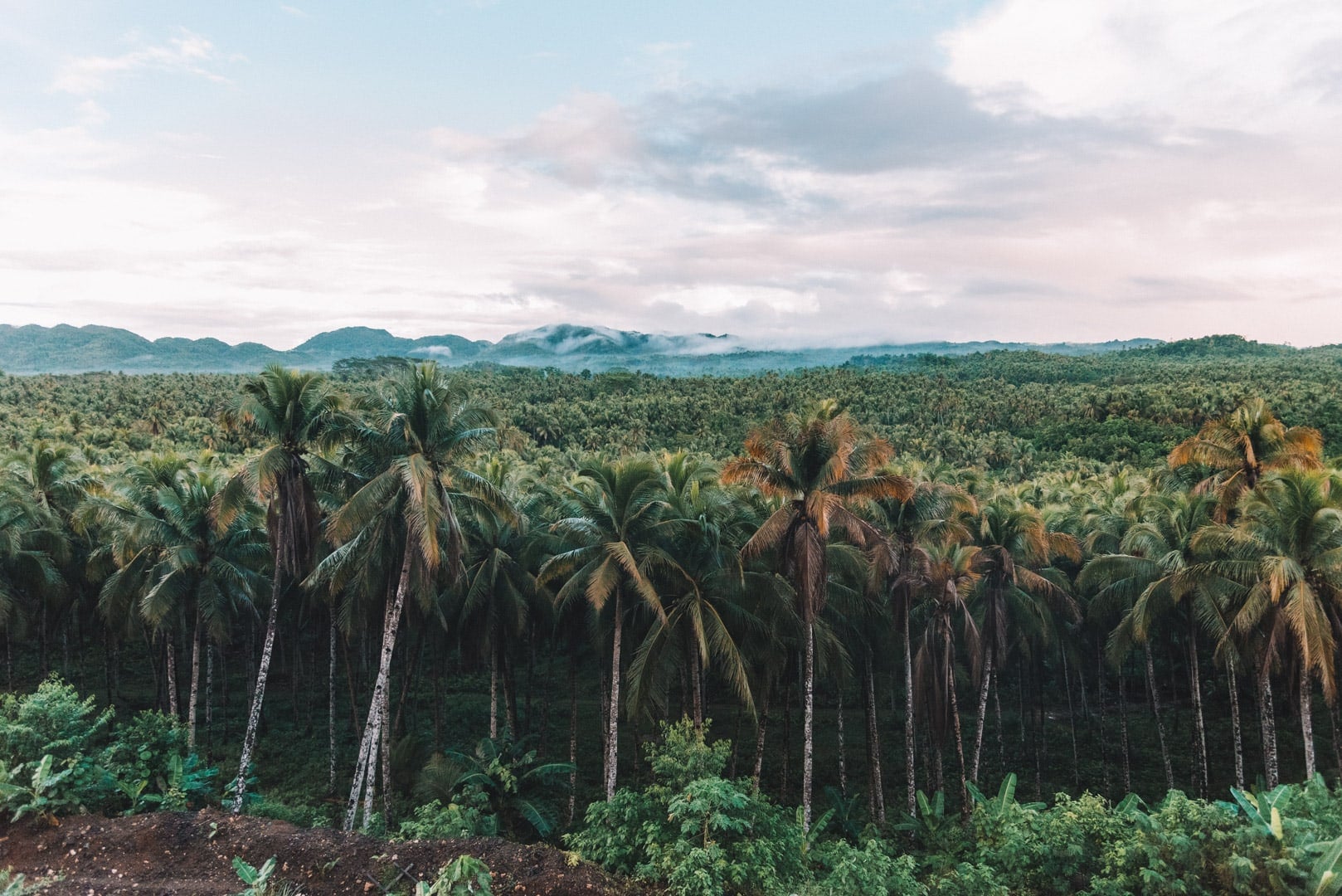 Alegria Beach in Siargao Island - The Most Beautiful Beach 7 How to get to Alegria Beach