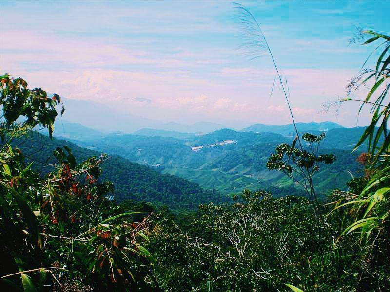 Don't Do This In Malaysia: 20 Things Not to Do in Malaysia 5 Don't Do This In Malaysia: 20 Things Not to Do in Malaysia, Instagrammable places in Malaysia, Cameron highlands