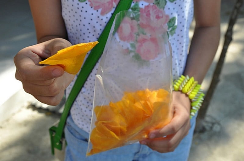 camote chips