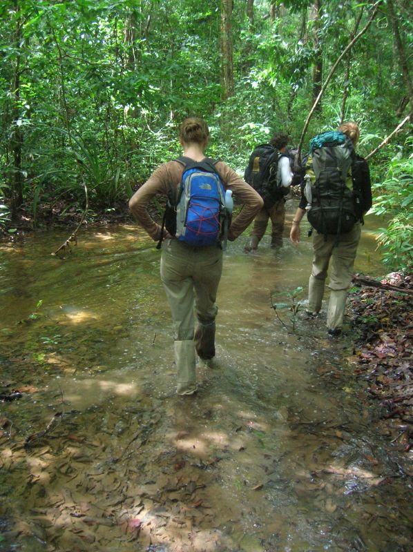 Virachey National Park, Cambodia Tourist Spots