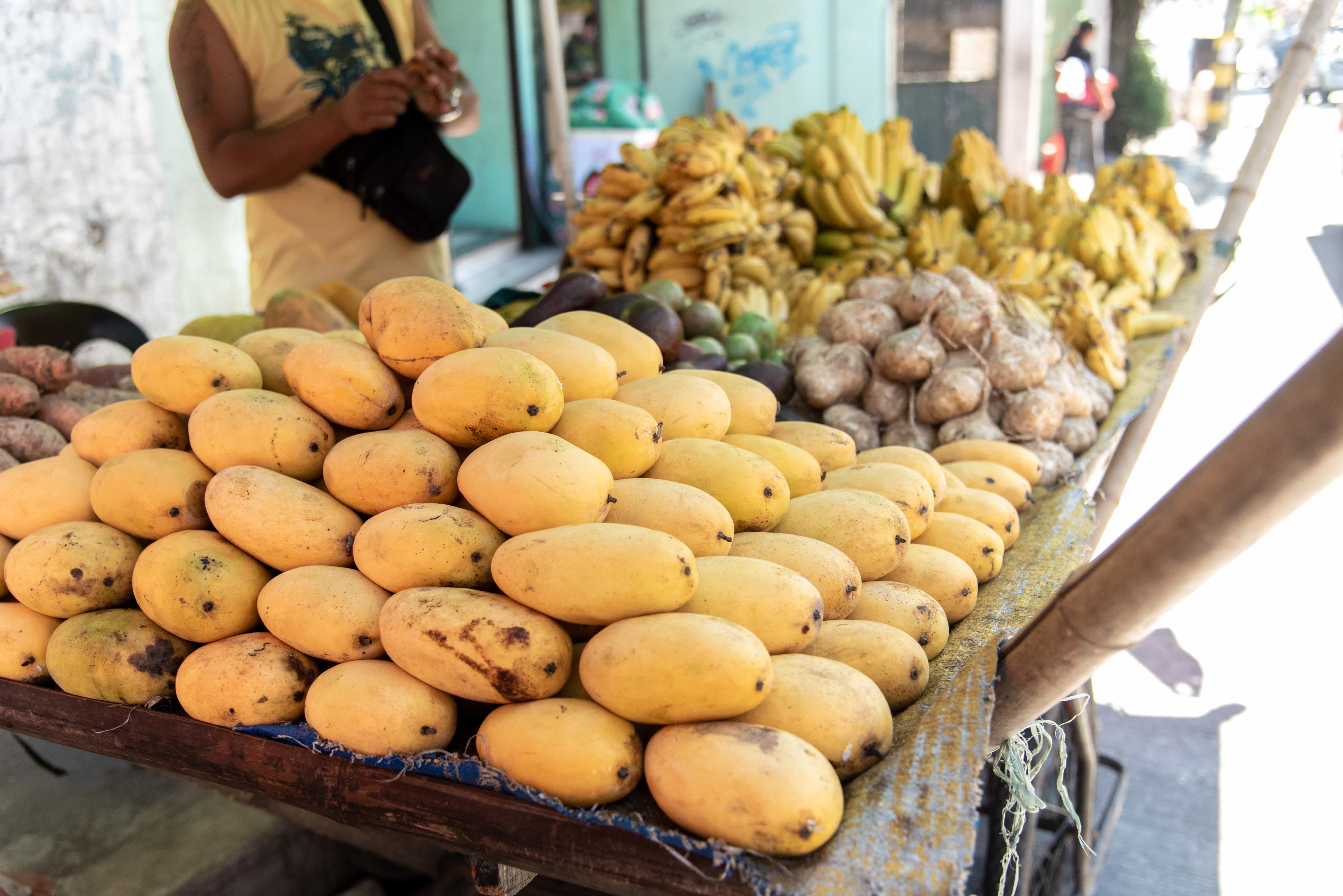 Zambales Itinerary: 16 Zambales tourist spots and things to do in Zambales. 17 mangoes in zambales, zambales tourist spots, things to do in zambales