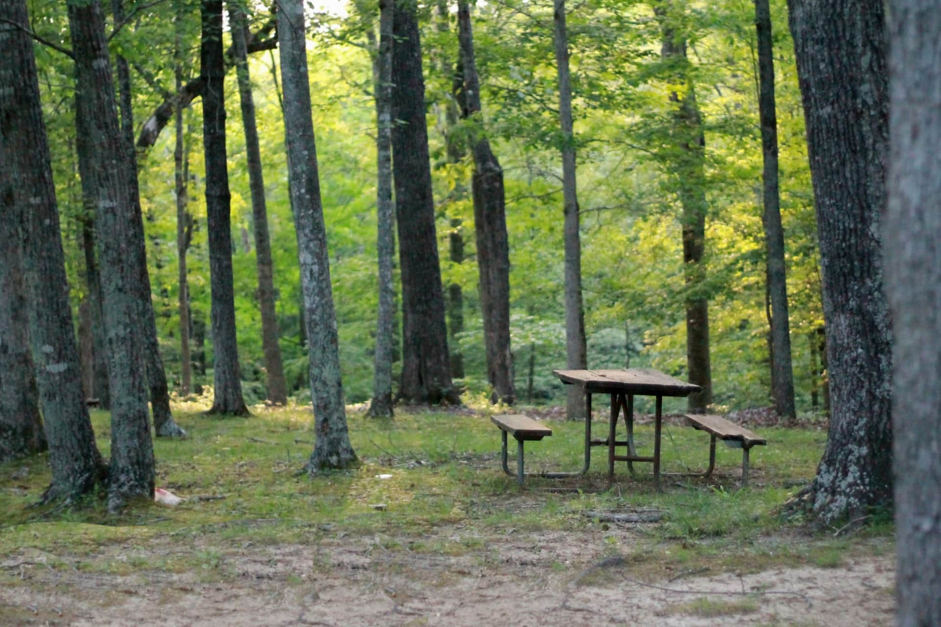 Picnic Grove, Tagaytay Tourist Spots,
