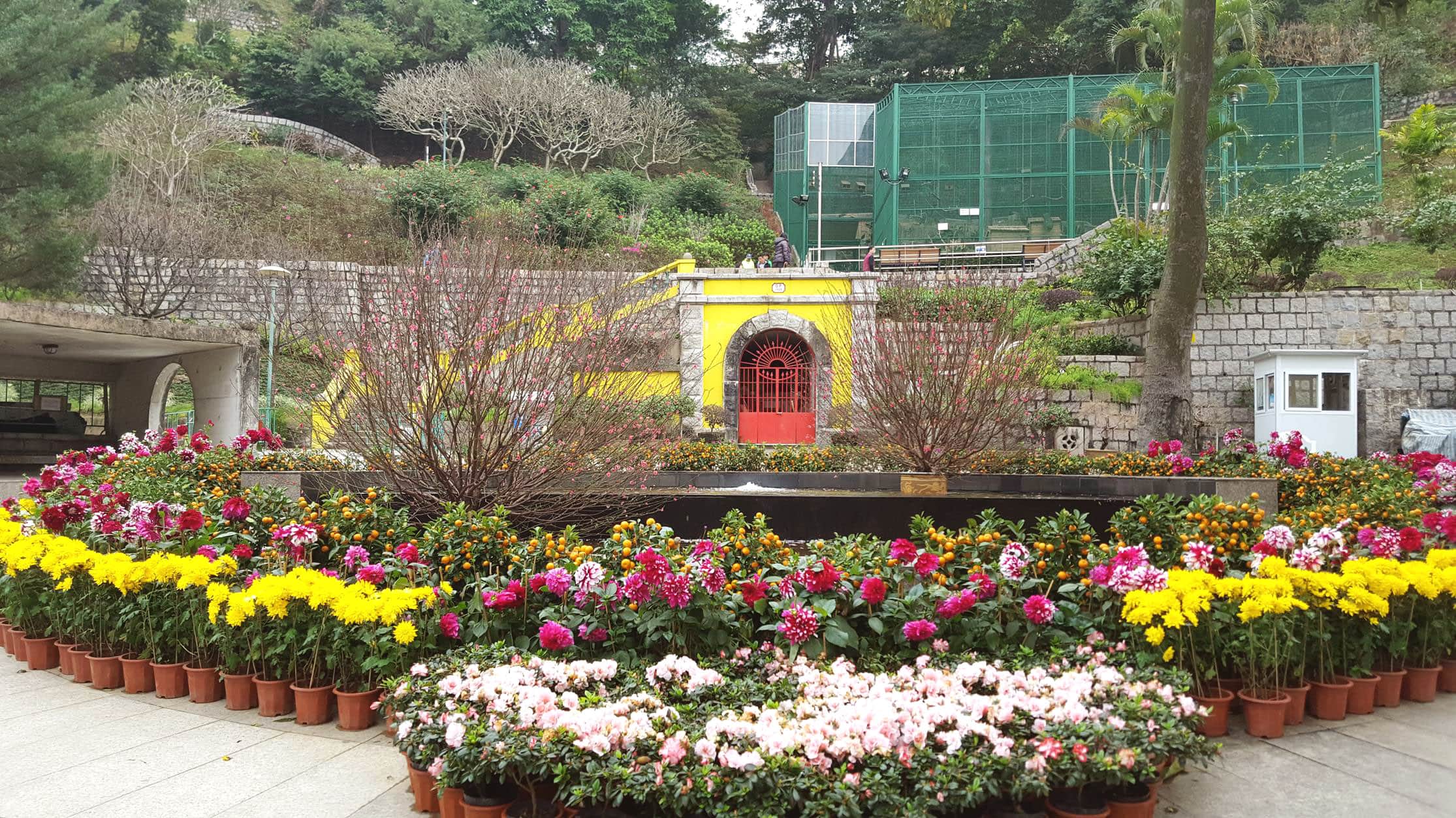 Flora Garden 03