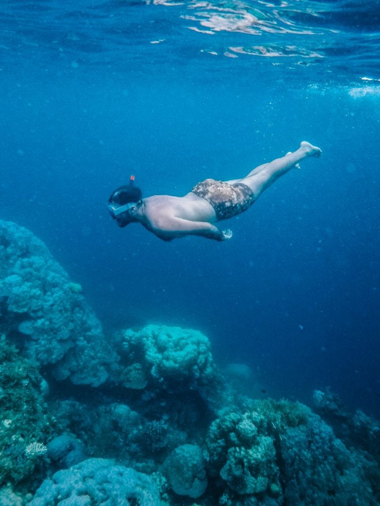 18 Awesome Things to do in Dhiffushi Island (Travel Guide) 23 Port Barton Guide by Gamintraveler 33