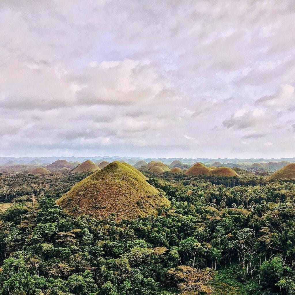 Bohol Itinerary, dumaguete to bohol, dumaguete to bohol ferry, dumaguete to bohol roro, dumaguete to bohol ferry schedule, dumaguete to bohol fare, dumaguete to bohol schedule, dumaguete to tagbilaran