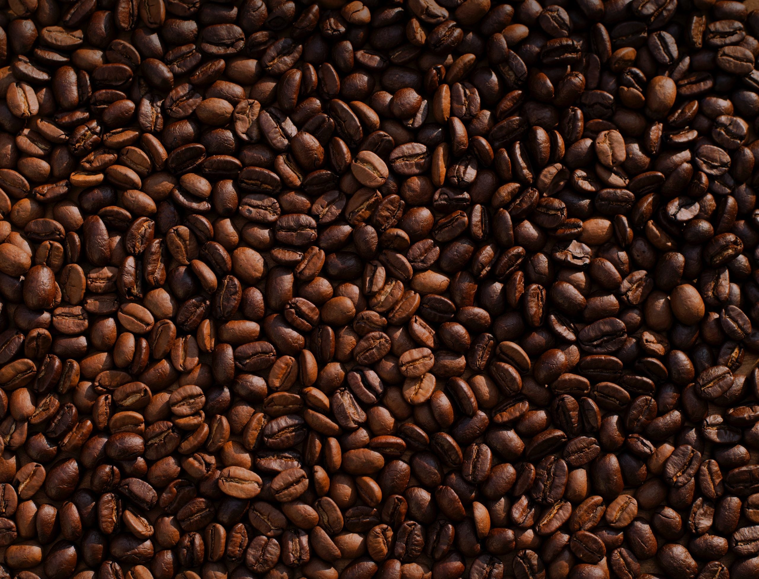 Barako Coffee, Tagaytay itinerary