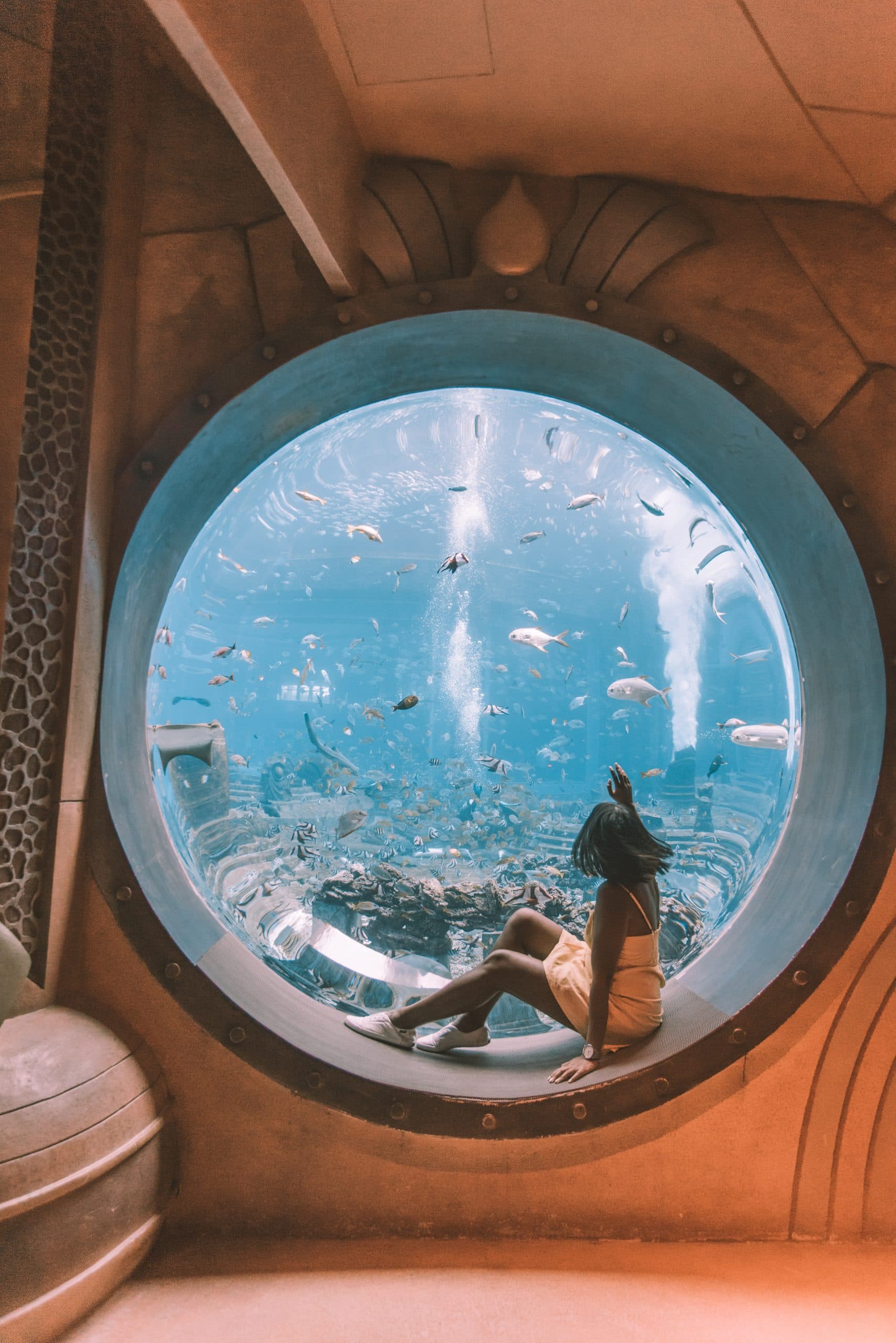 things to do in Sanya, Sanya travel guide, Atlantis Aquarium