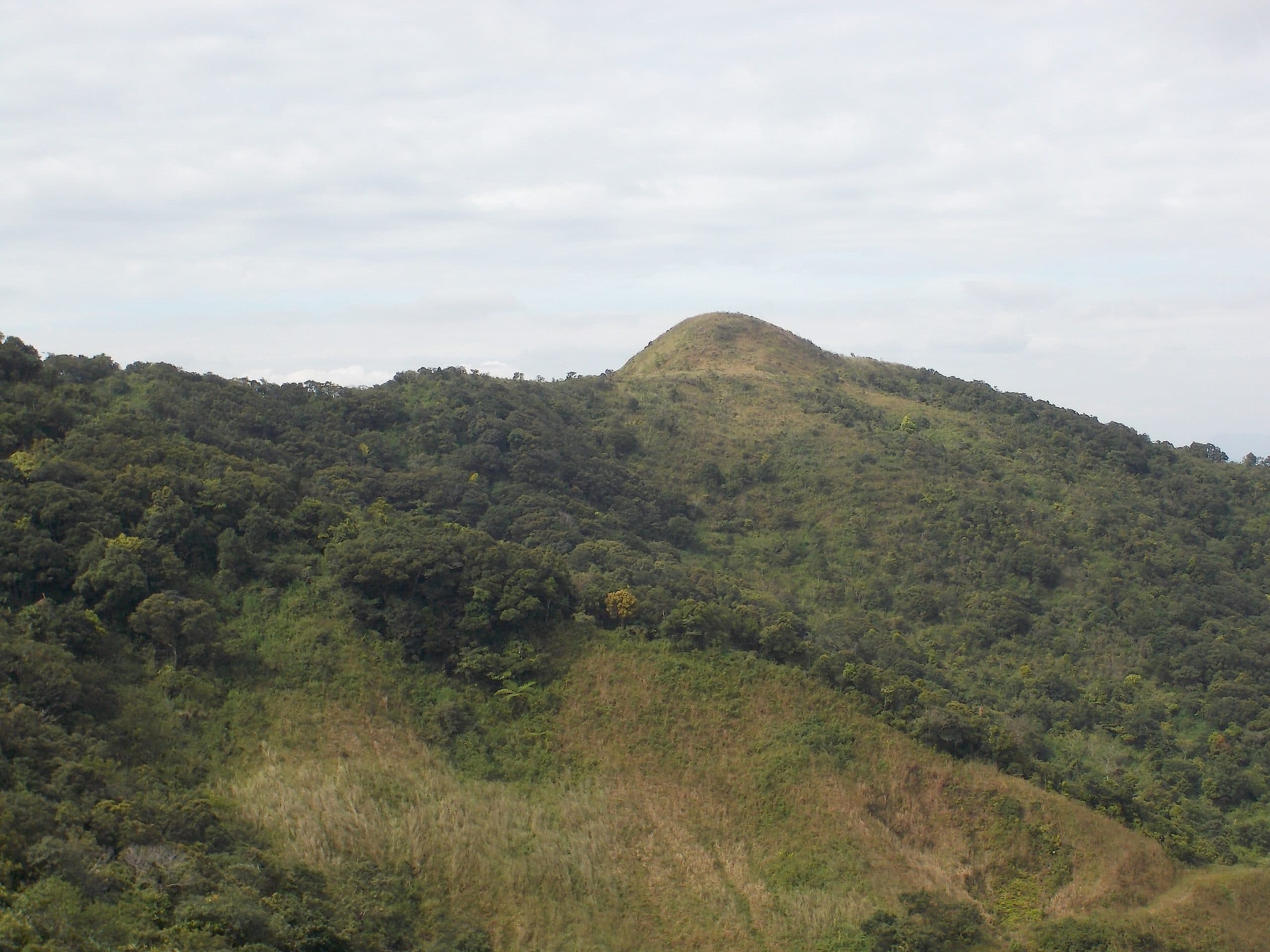 Mount Natib