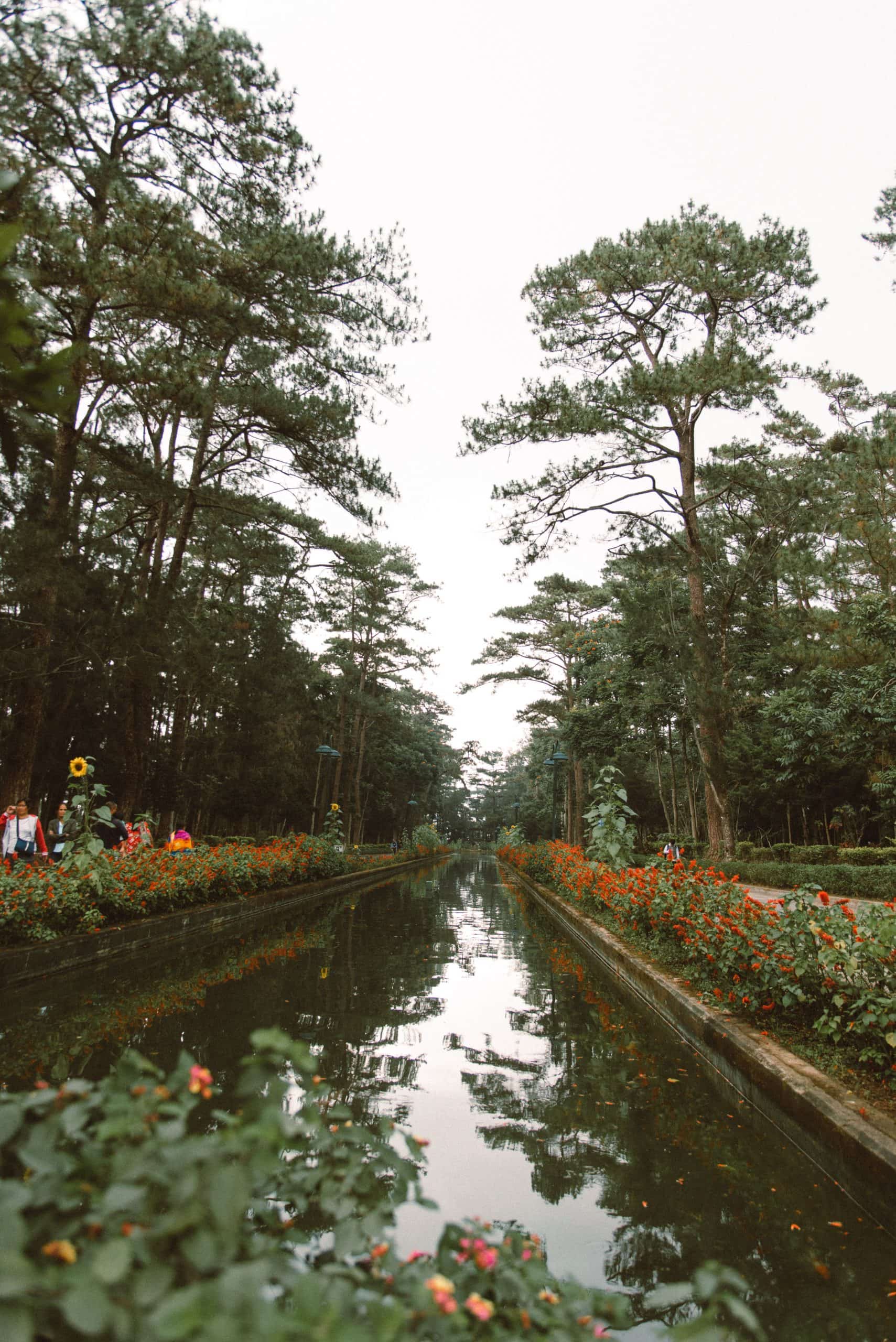 A Perfect 3 Days Baguio Itinerary 5 Baguio tourist spots, Baguio travel guide, Wright Park