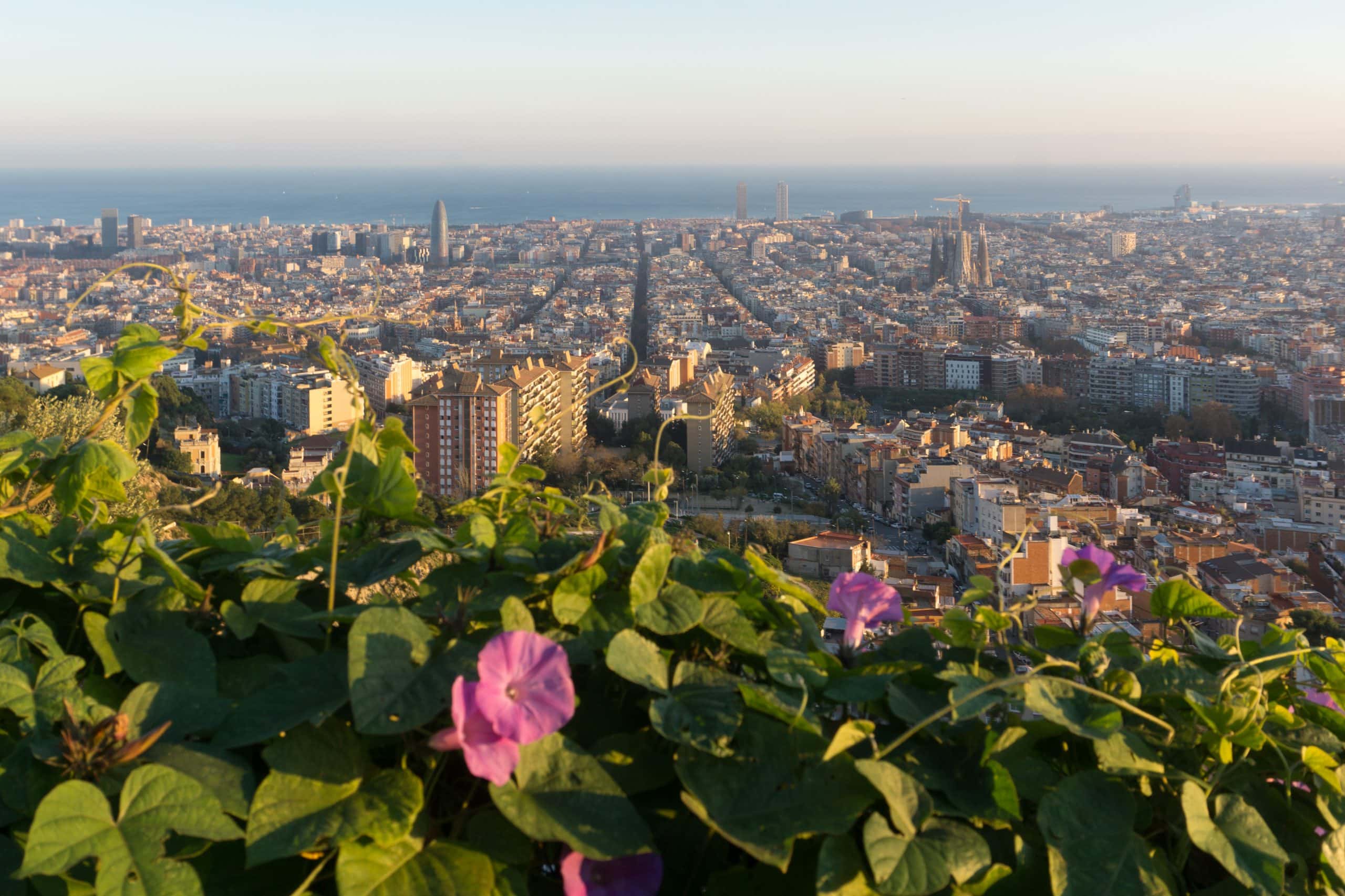Bunkers del Carmel Top 10 Instagrammable Places in Barcelona scaled