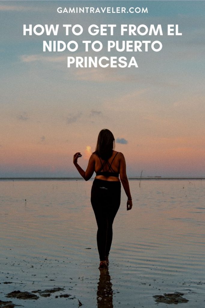 How to get from El Nido to Puerto Princesa Best Way 1 el nido to puerto princesa, el nido to puerto princesa flight, el nido to puerto princesa airport, el nido to puerto princesa travel time
