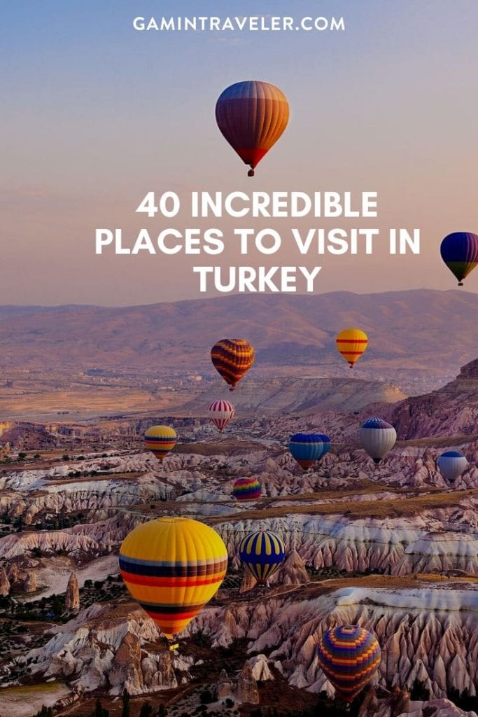 TURKEY PIN