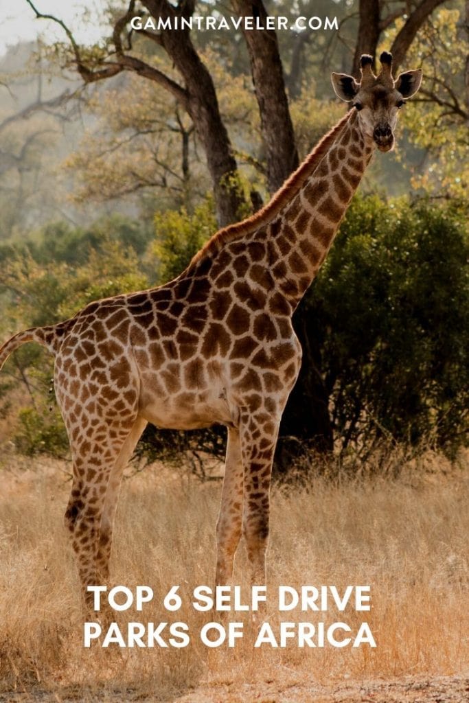 TOP 6 SELF DRIVE PARKS OF AFRICA