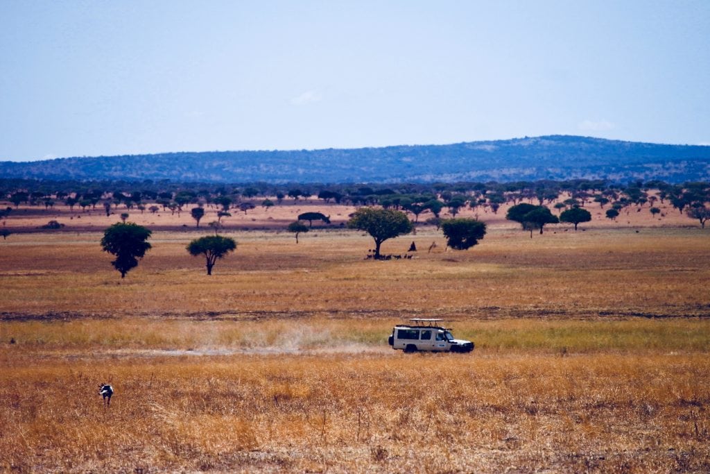 Serengeti National Park, Tanzania, Top 6 Self-Drive Parks of Africa