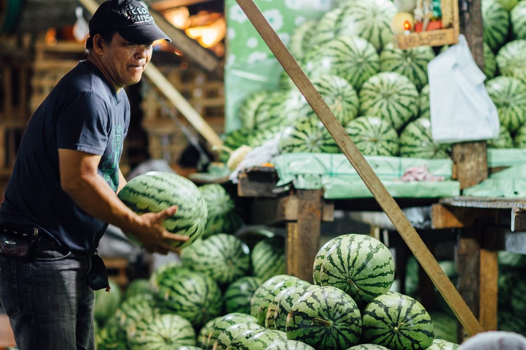Watermelon, 