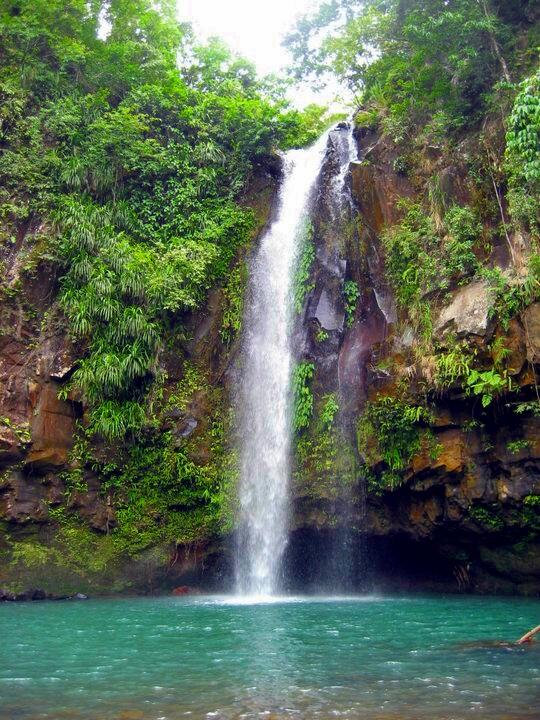 Laguna Falls: 17 Amazing Falls in Laguna 11 Sampaloc Falls, falls in laguna, laguna falls