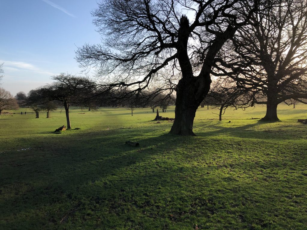 The Thames Path