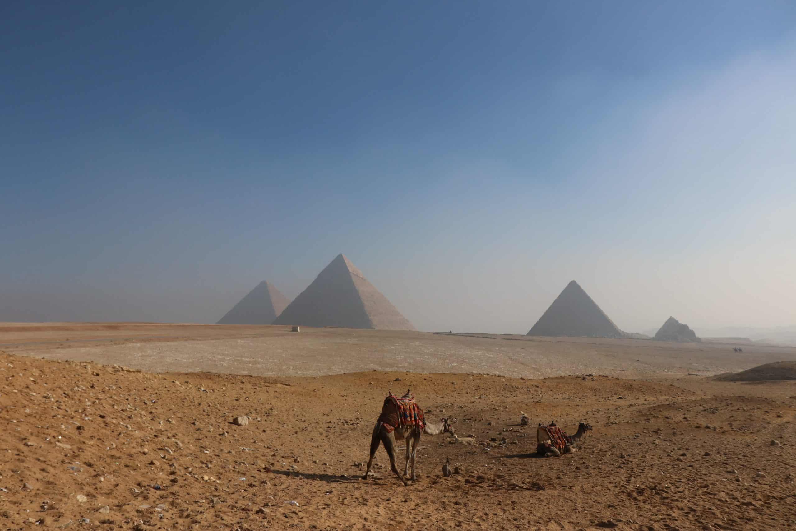 prepaid sim card egypt, egypt sim card for tourist, best tourist sim card egypt, egypt sim card for tourists, best sim card for egypt, egypt tourist sim card, Egypt tourist sim card, egypt sim card, Egypt prepaid sim card, sim card Egypt