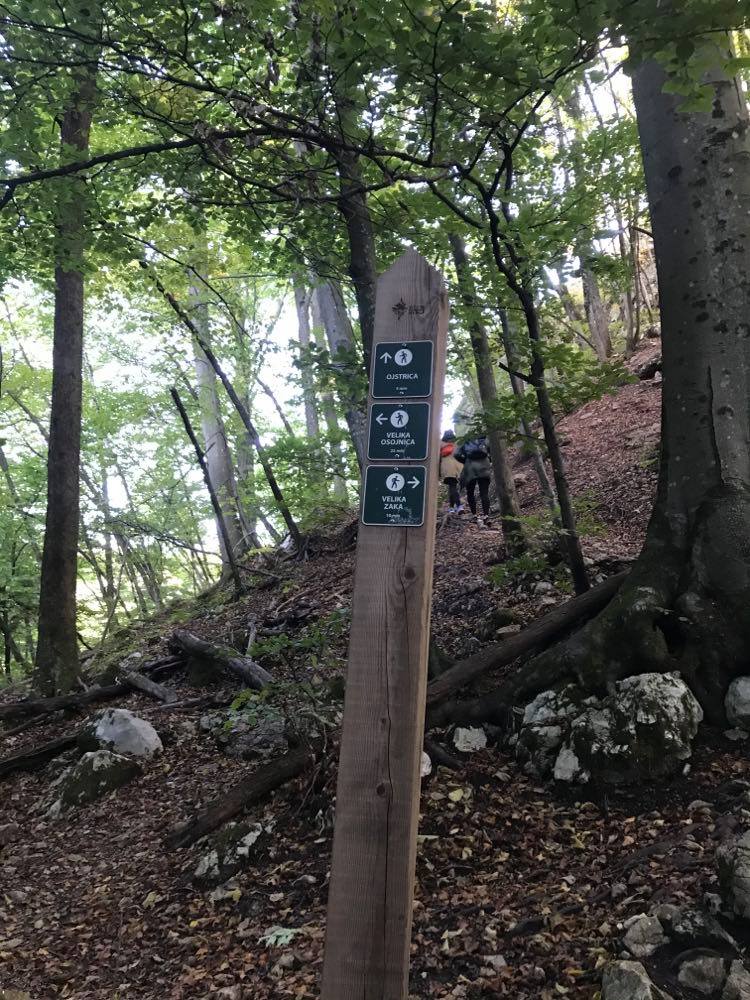 lake bled hike, ojstrica hike, the Best View of Lake Bled, The Best Lake Bled Viewpoint