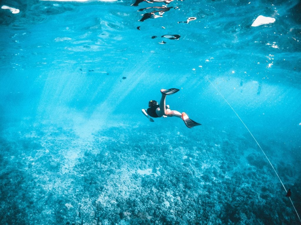 Bahamas Travel Tips, things to know before visiting Bahamas, facts about Bahamas, Snorkeling in Bahamas