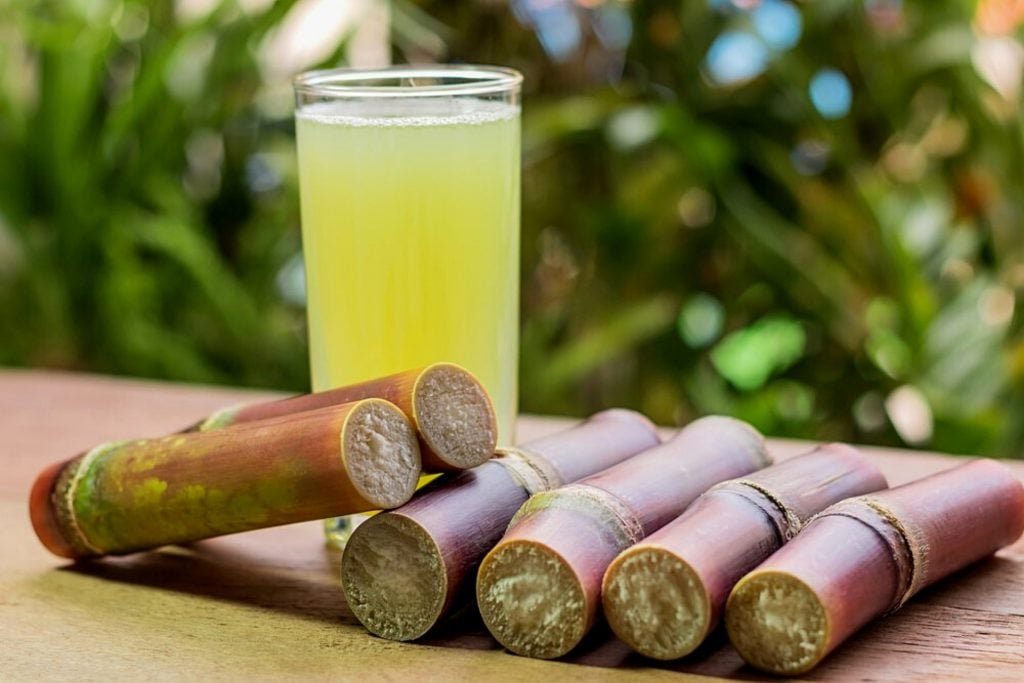 Best Moroccan Food - 45 Best Moroccan Dishes And Traditional Food In Morocco To Try 45 Jamaica Republic Travel Tips, things to know before visiting Jamaica, facts about Jamaica, Sugar Cane