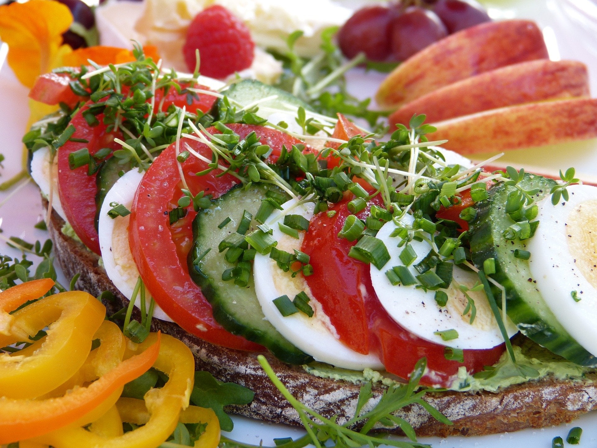 vegetarian food in Costa Rica, vegan food in Costa Rica, vegetarian dishes in Costa Rica, vegan dishes in Costa Rica, vegetarian sandwich