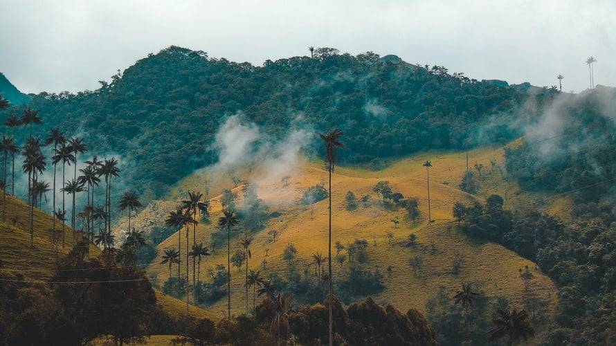 Cocora Valley. Colombia instagram spots, most instagrammable places in Colombia, Colombia photos, Colombia photography