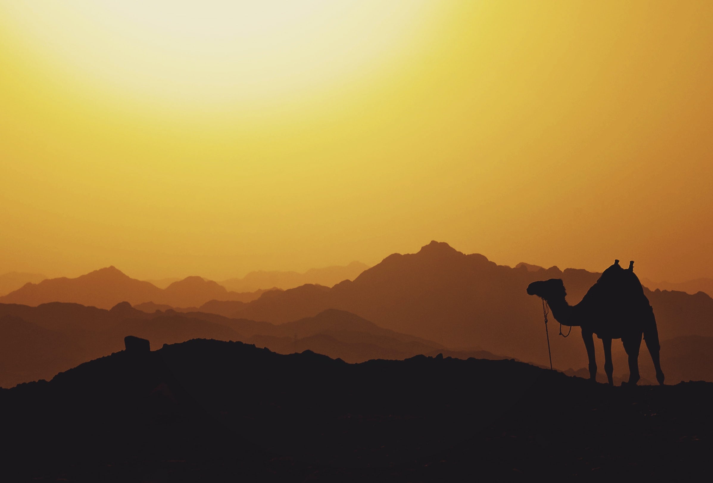 what to wear in egypt, egypt packing list, packing list for egypt, travel checklist for egypt, what to pack for egypt