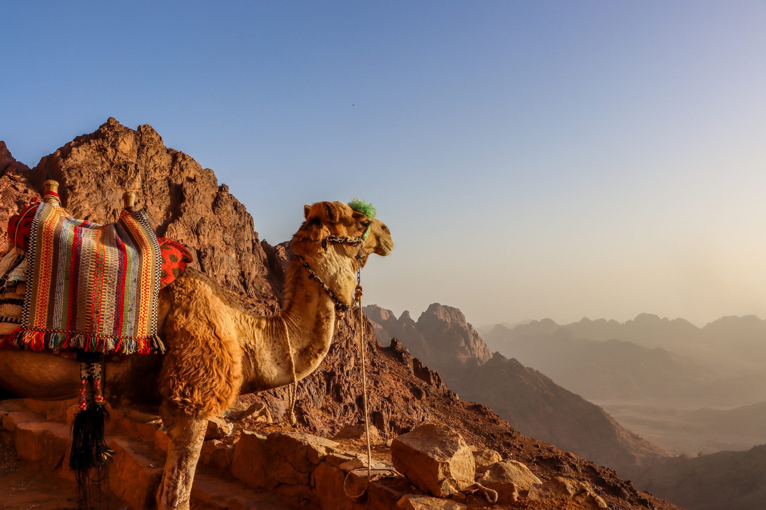 what to wear in egypt, egypt packing list, packing list for egypt, travel checklist for egypt, what to pack for egypt