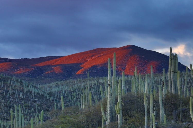 Most Instagrammable Places in Mexico, Mexico Instagram Spots, mexico photos, Mexico Photography, Zapolitan Salinas