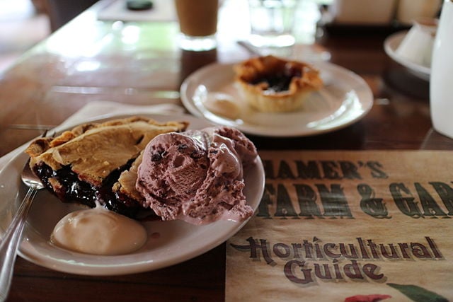 Best Canadian Food - 35 Best Canadian Dishes And Traditional Food In Canada To Try 28 Canadian Food, Canadian cuisine, Traditional Canadian Food, food in Canada, Canadian dessert, dessert in Canada, Saskatoon berry pie