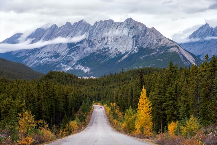 40 Canada Travel Tips And Things To Know Before Visiting Canada For First Timers 19 Canada instagram spots, most instagrammable places in Canada, instagrammable places in Canada, Canada photography, Canada photos, Jasper National Park, Canada Travel Tips And Things To Know Before Visiting Canada For First Timers
