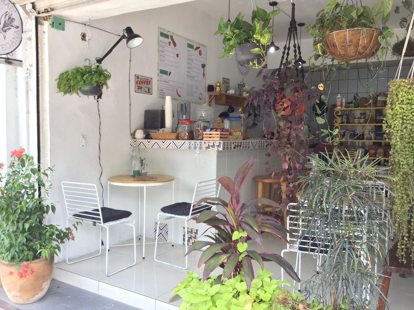 Guadalajara Food - 30 Best Restaurants In Guadalajara Mexico 28 vegan restaurants in guadalajara, vegetarian restaurants in guadalajara, vegan in guadalajara, vegetarian in Guadalajara, restaurants in guadalajara, choclo y maiz