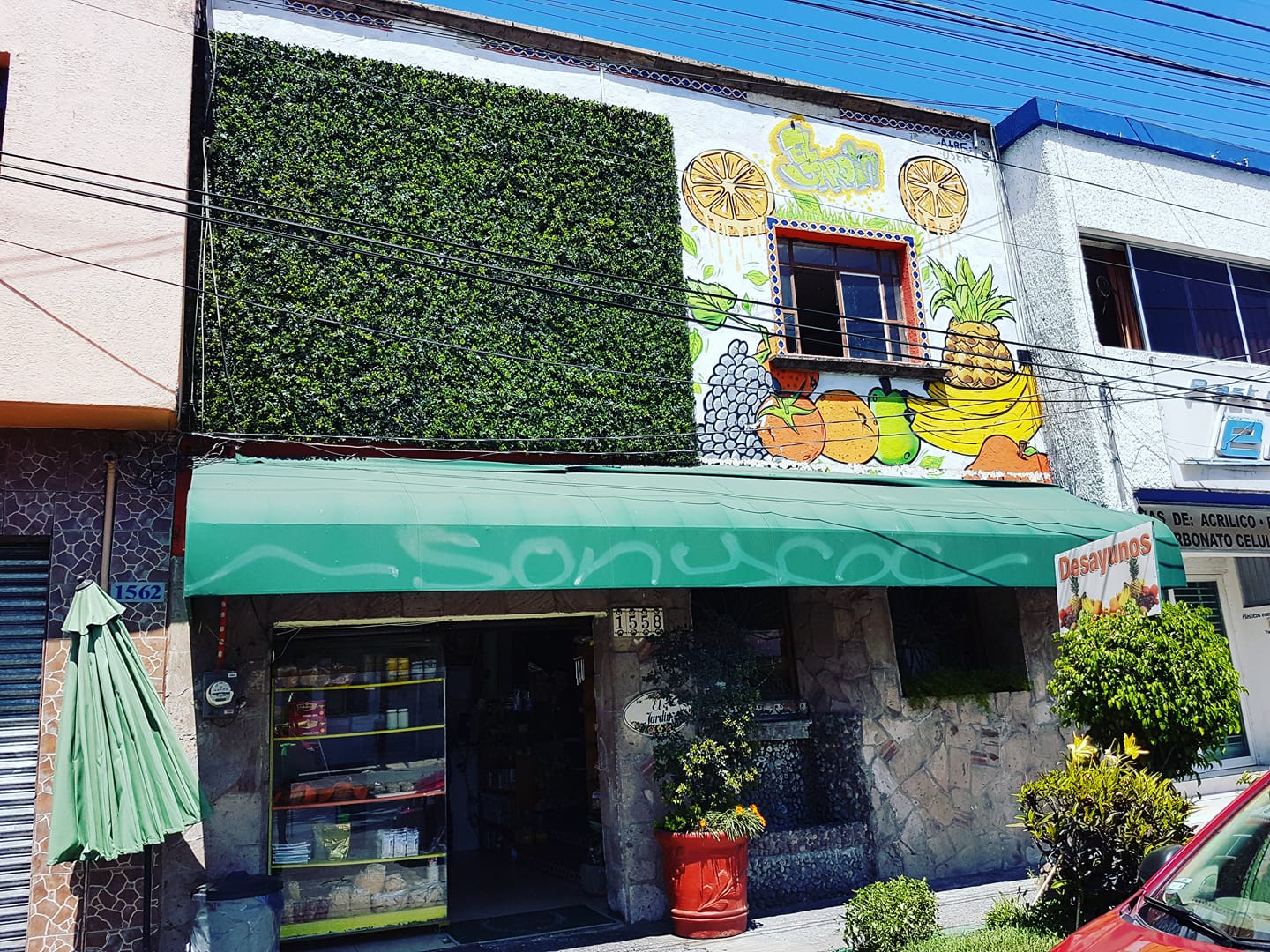 Guadalajara Food - 30 Best Restaurants In Guadalajara Mexico 26 vegan restaurants in guadalajara, vegetarian restaurants in guadalajara, vegan in guadalajara, vegetarian in Guadalajara, restaurants in guadalajara, el jardin