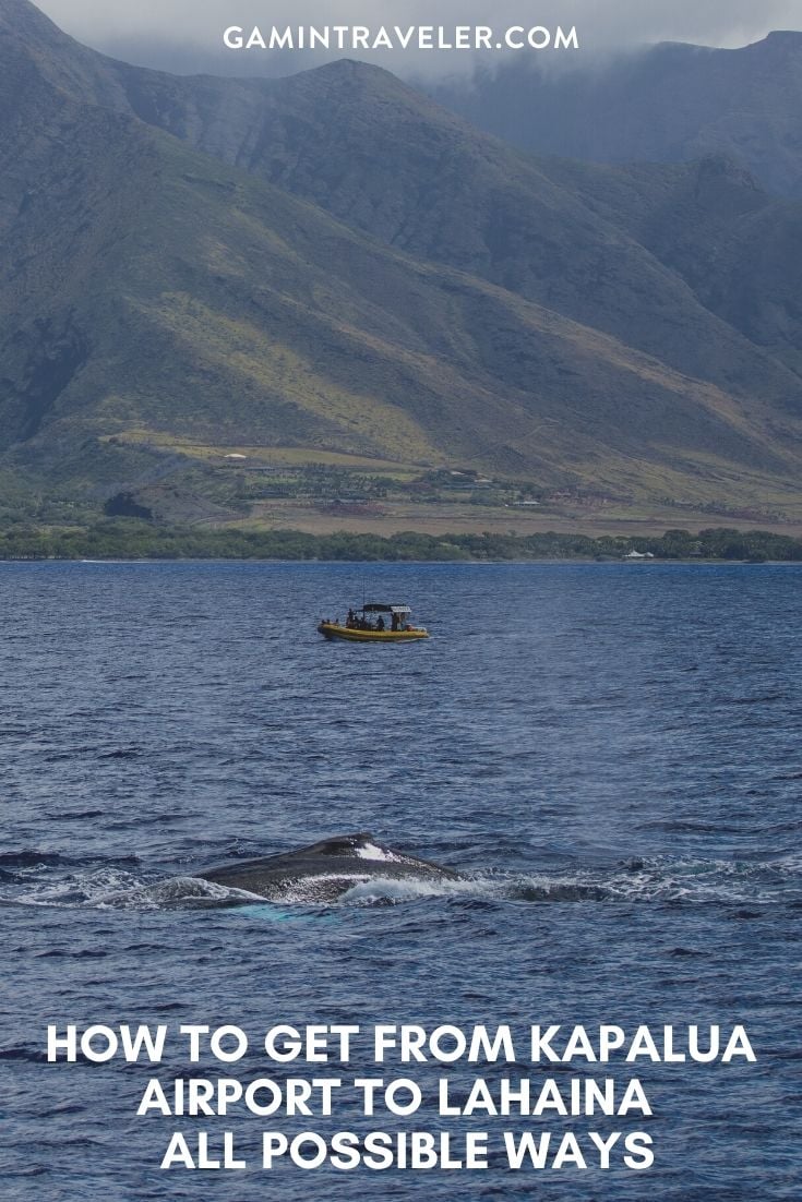 How To Get From Kapalua Airport To Lahaina - All Possible Ways, cheapest way from Kapalua airport to Lahaina, Kapalua airport to Lahaina, Maui Airport Bus To Lahaina