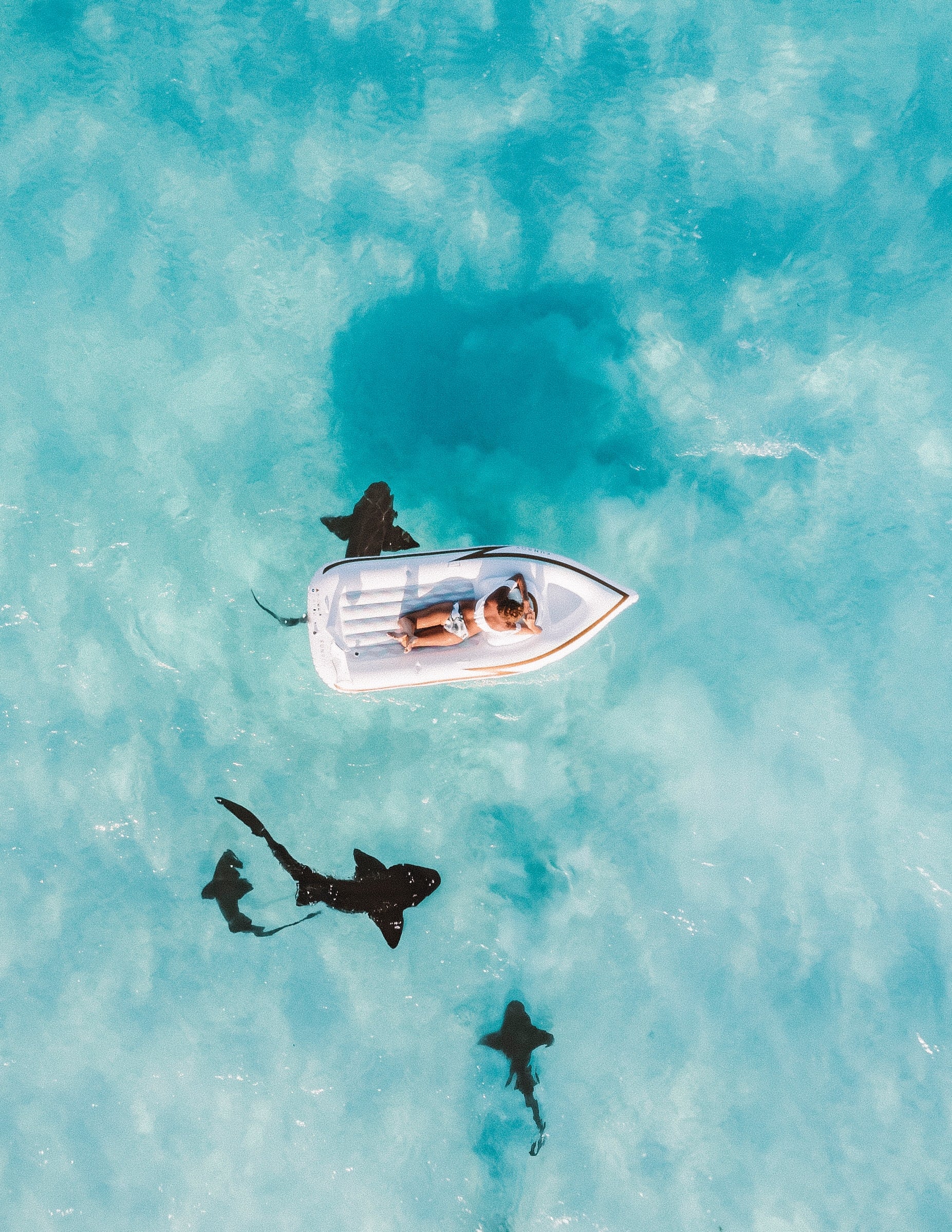 NURSE SHARKS OF COMPASS CAY - Aruba vs Bahamas