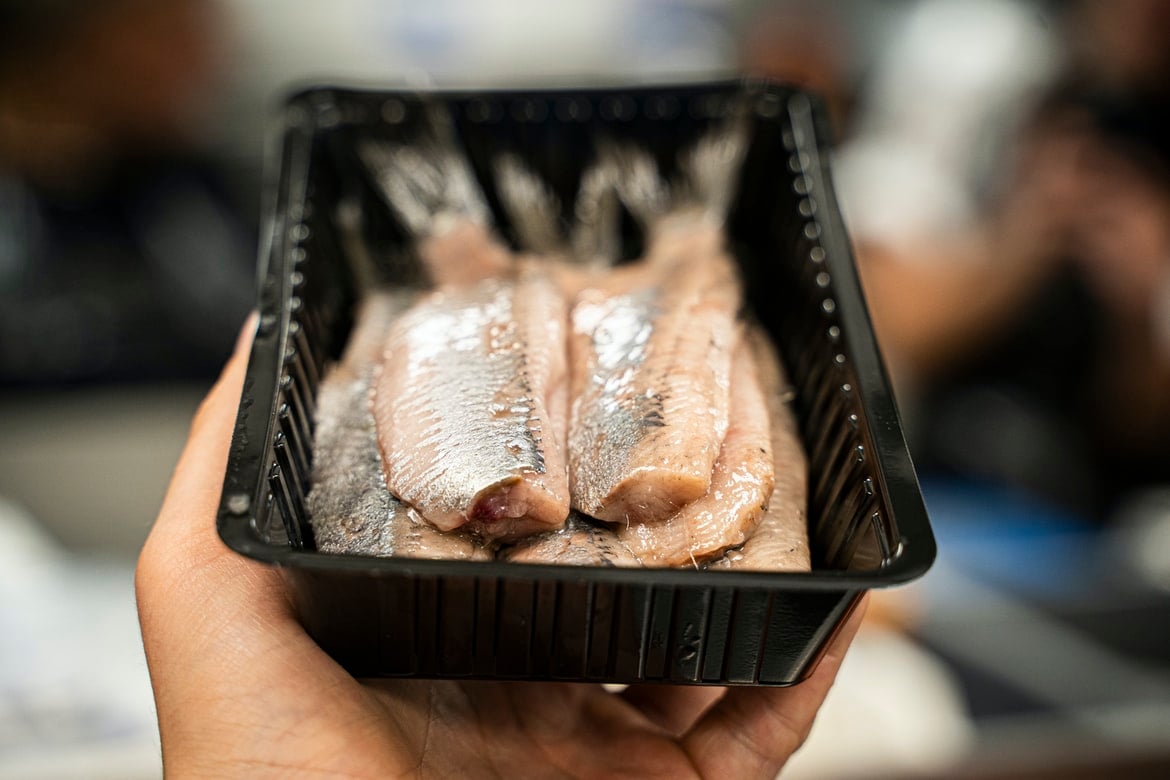 Denmark Food, Traditional Denmark Food, Danish food, Danish cuisine, traditional food in Denmark, Denmark cuisine, Denmark dishes, Danish dishes, pickled herring