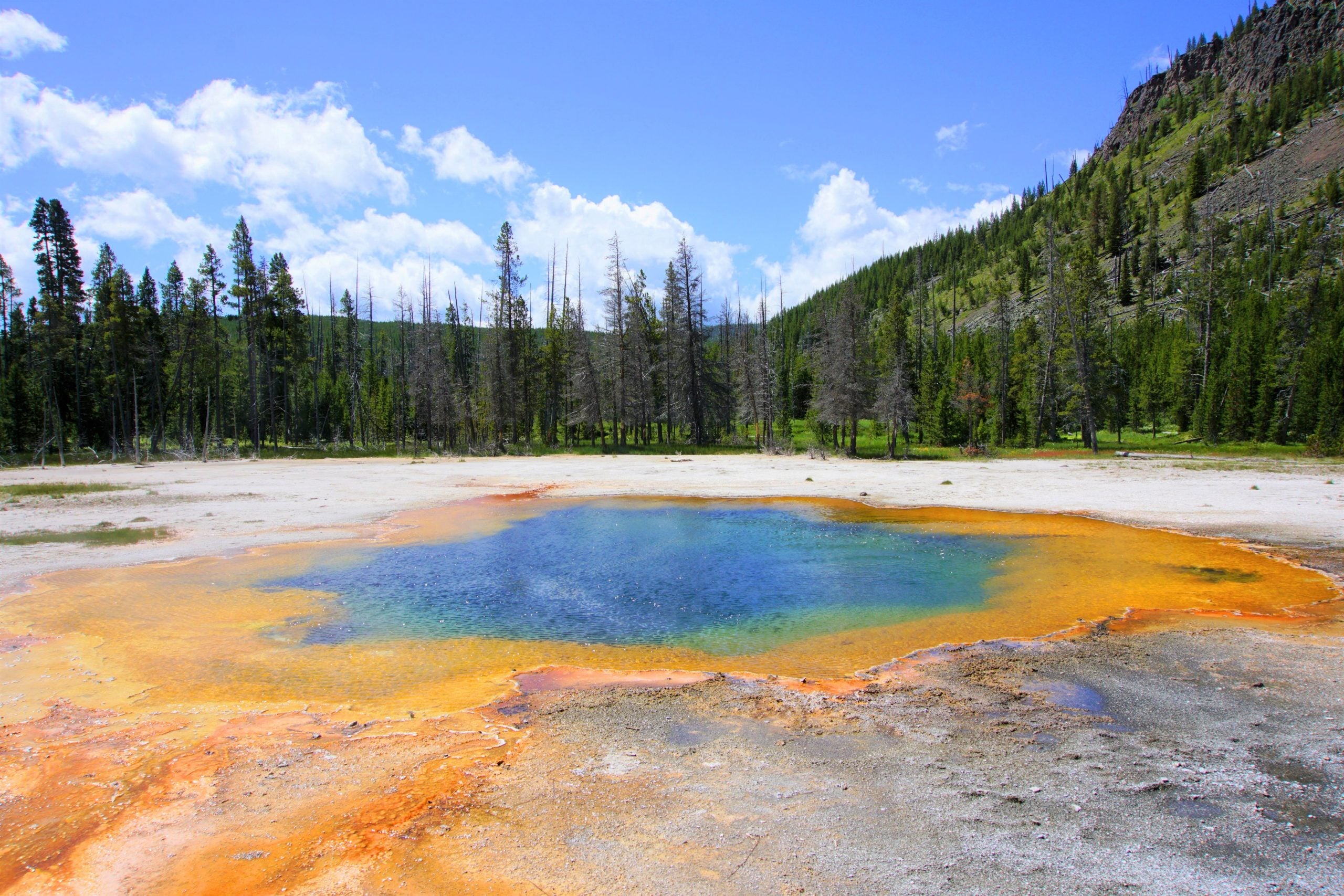 The Best National Parks in the U.S.: Nature’s Majestic Wonders