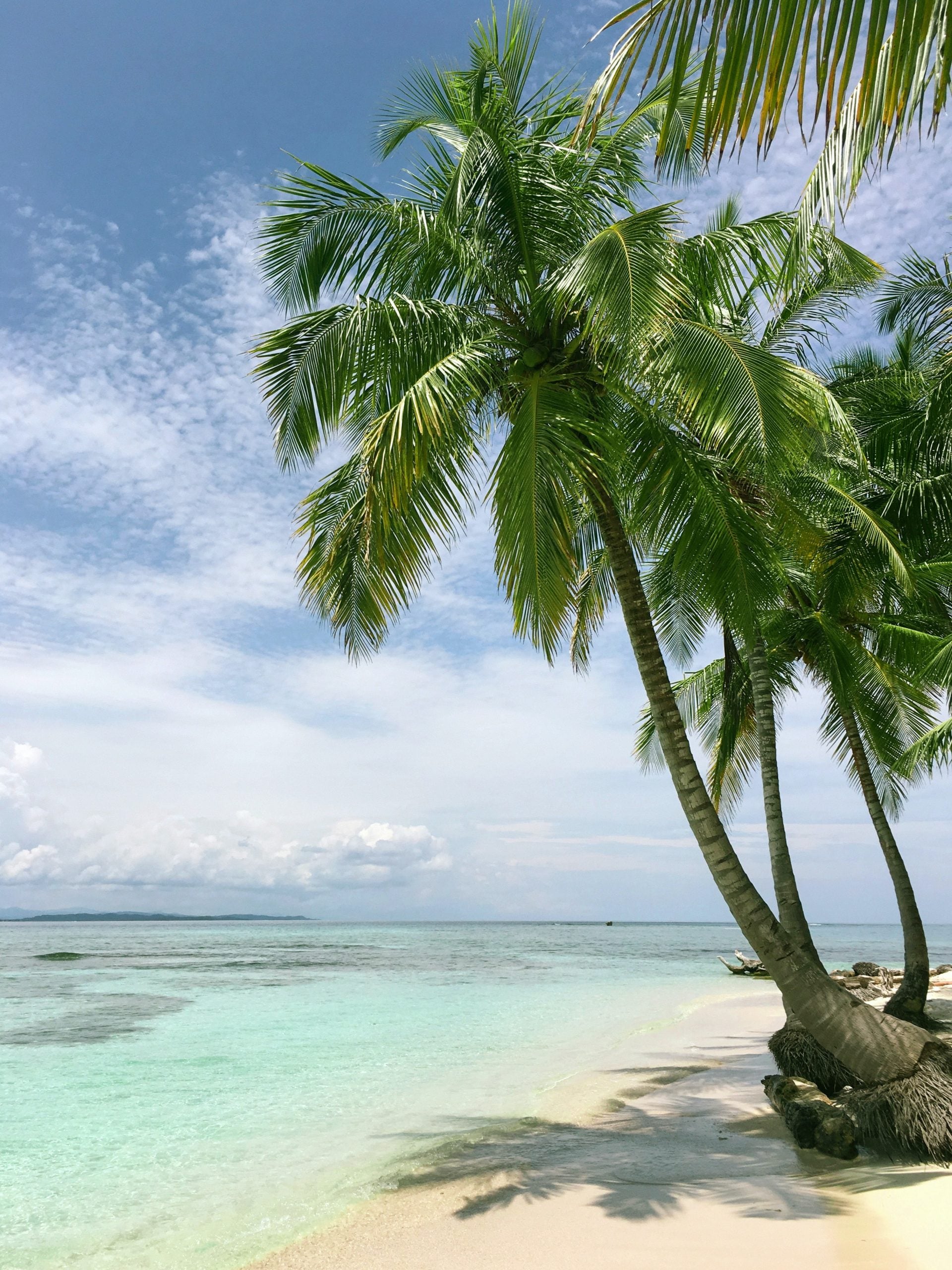 How To Get From Negril to Montego Bay - All Possible Ways, cheapest way from Negril to Montego Bay, Negril to Montego Bay, Negril Bus, Negril Bus to Montego Bay