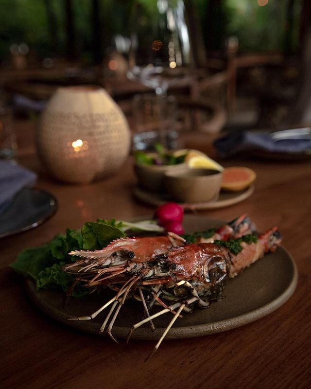 Restaurants In Tulum, best Restaurants In Tulum, Tulum food, where to eat in Tulum, vegetarian Restaurants In Tulum, vegan Restaurants In Tulum, Tulum restaurants