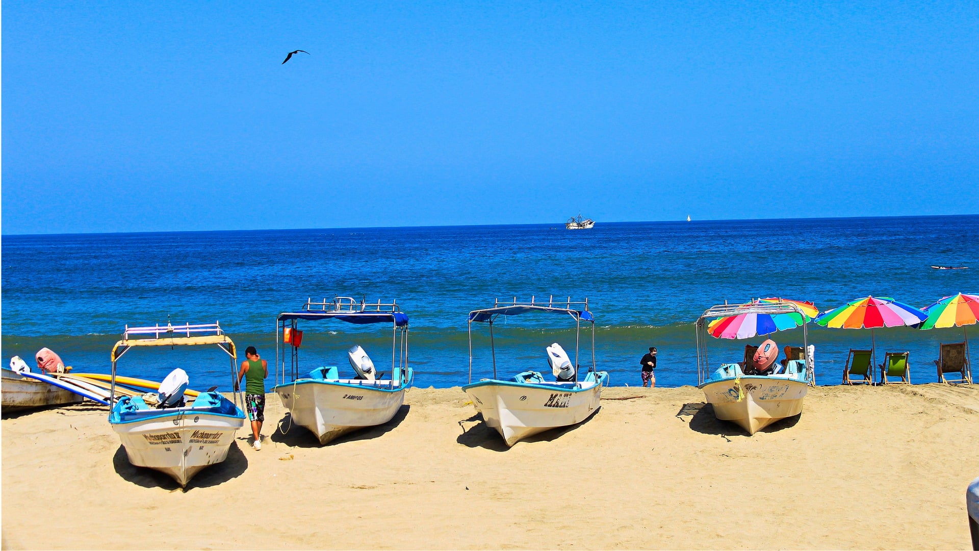 How To Get From Punta Mita to Sayulita - All Possible Ways, cheapest way from Punta Mita to Sayulita, Punta Mita to Sayulita, Bus Punta Mita to Sayulita