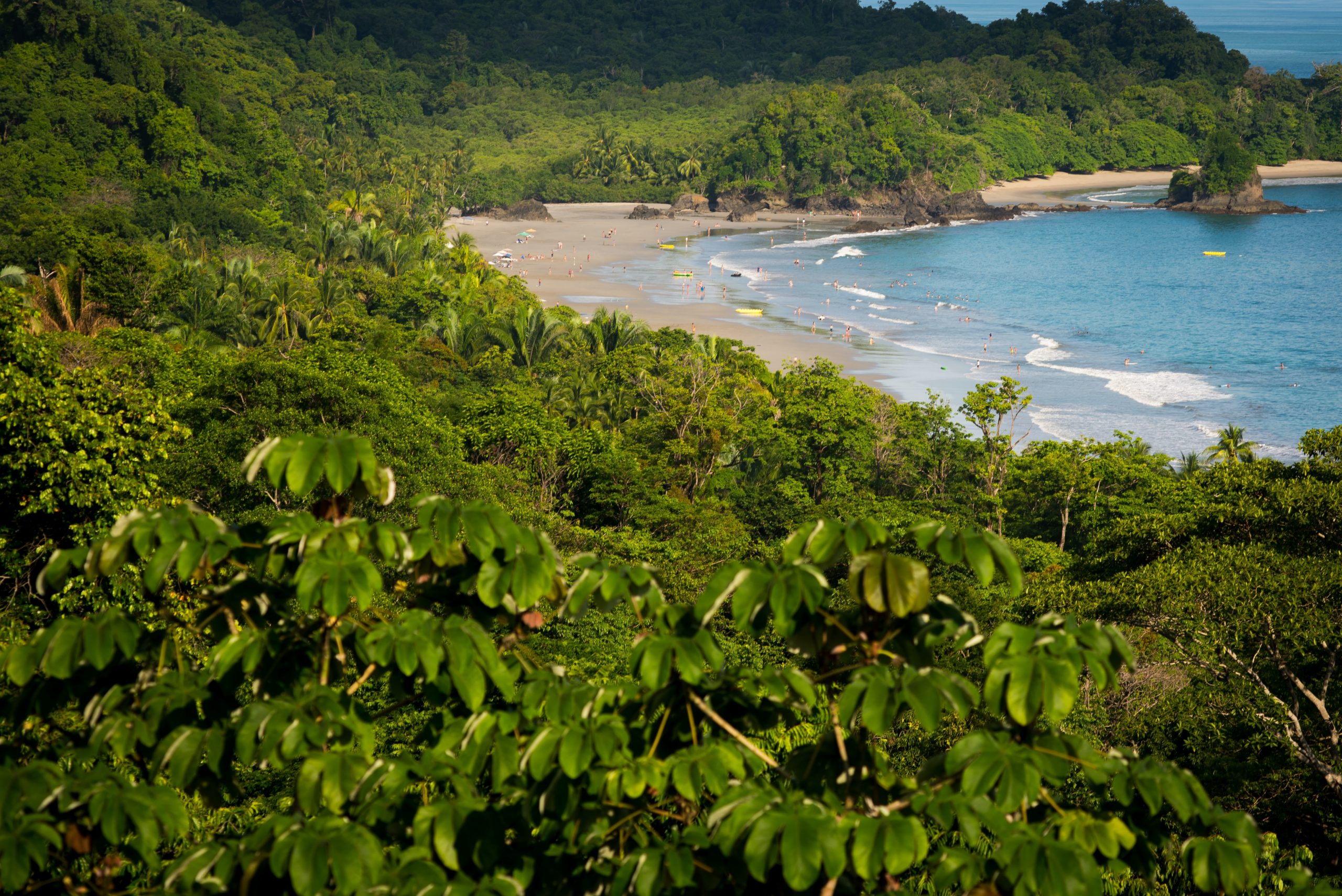 How To Get From San Jose Airport to Manuel Antonio - All Possible Ways, cheapest way from San Jose Airport to Manuel Antonio, San Jose Airport to Manuel Antonio, San Jose Costa Rica Airport to Manuel Antonio, San Jose to Manuel Antonio, san jose costa rica to Manuel Antonio, san jose to Manuel Antonio bus