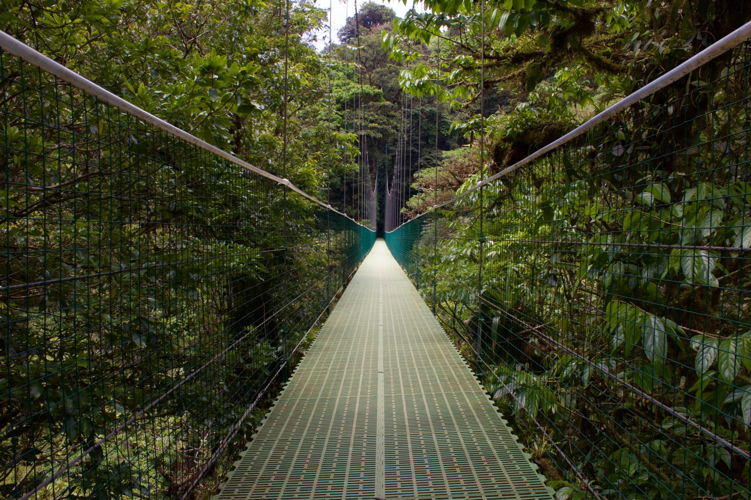 How To Get From Manuel Antonio to Monteverde - All Possible Ways, cheapest way from Manuel Antonio to Monteverde, Manuel Antonio to Monteverde, Manuel Antonio costa rica to Monteverde, Manuel Antonio to Monteverde bus, Manuel Antonio to Monteverde costa rica, Manuel Antonio to Quepos, Quepos to Puntarenas
